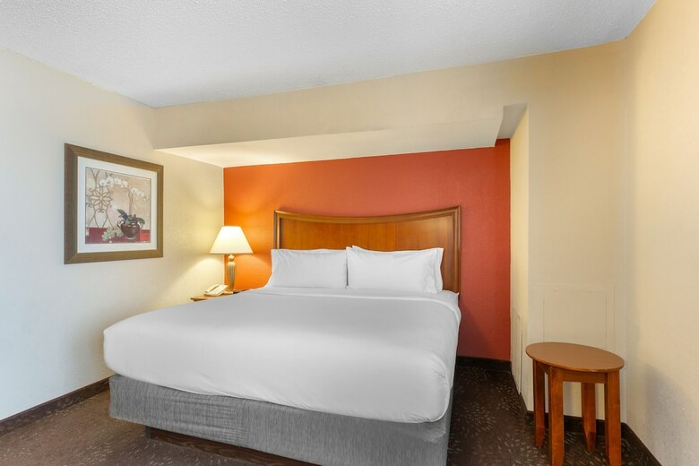 Hotel Holiday Inn Express Chicago-downers Grove
