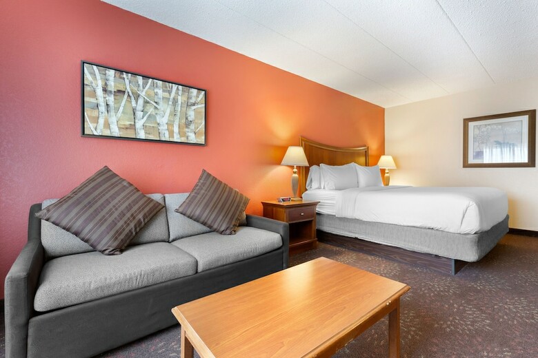 Hotel Holiday Inn Express Chicago-downers Grove