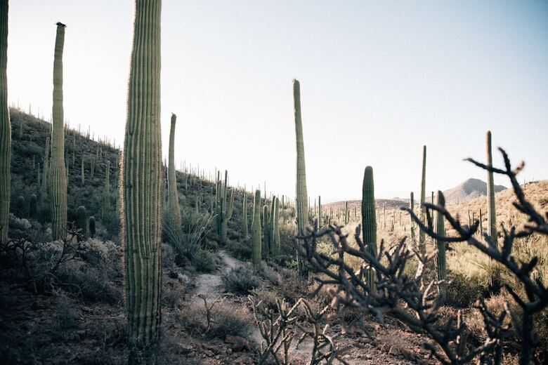 Apartamento Jw Marriott Starr Pass Resort And Spa