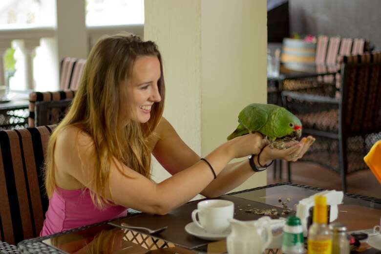 Tifakara Boutique Hotel & Birding Oasis