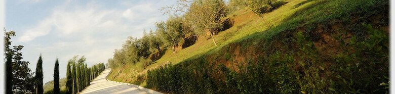 Residencia Il Borghetto Andrea Tafi