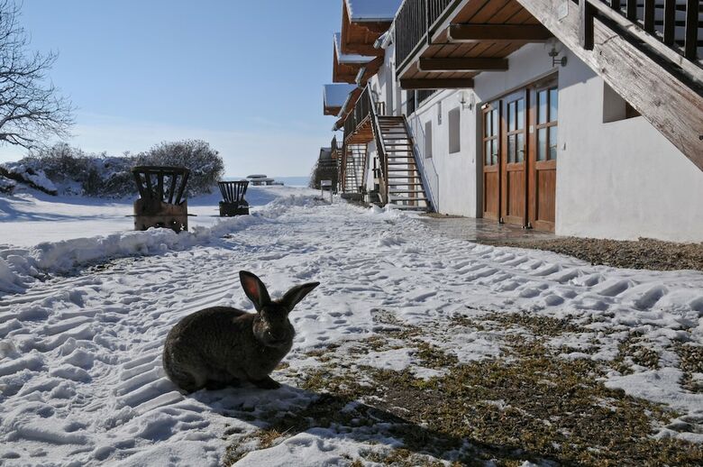 Apartamentos Geinberg Suites & Vianova Lodges