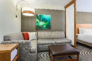 Hotel Crowne Plaza San Jose Downtown