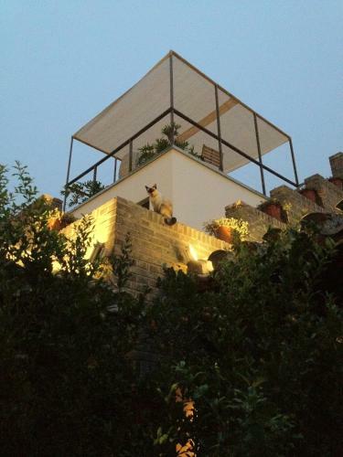 The Orchid Hotel, Beijing