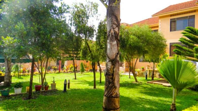 Hotel Apricot Guest House