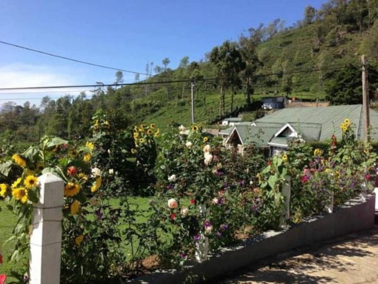 Hotel Heaven Seven Nuwara Eliya