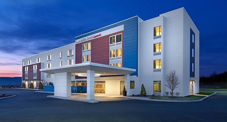 Hotel Springhill Suites Buffalo Airport