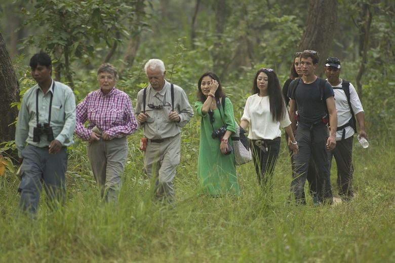 Hotel Green Mansions Jungle Resort