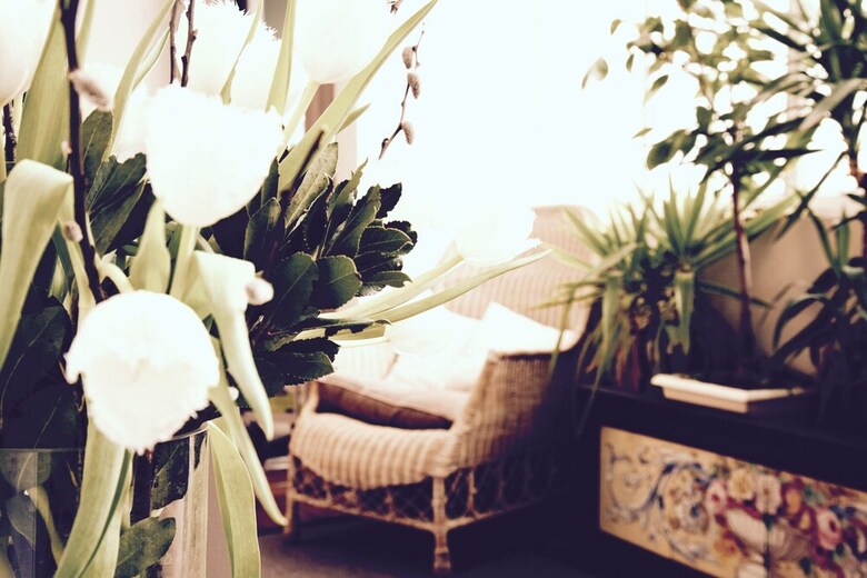 Bed & Breakfast L'h�tel Particulier