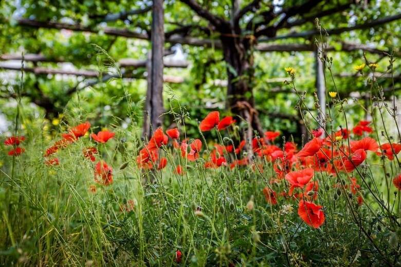 Bed & Breakfast La Casa Di Farfalle E Gabbiani