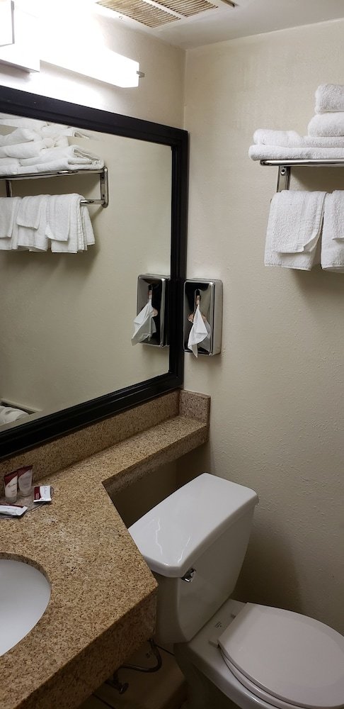 Hotel Skybridge Inn & Suites