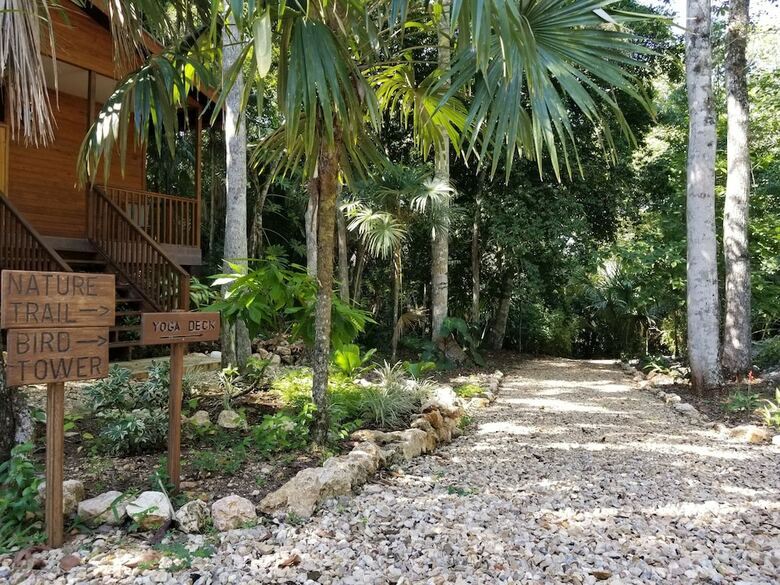 Posada Mariposa Jungle Lodge