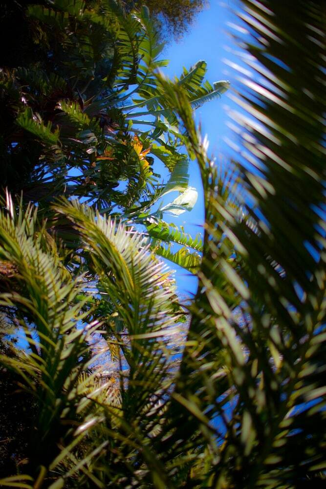 Apartamento Le Case Del Vivaio