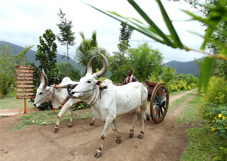 Agroturismo Harvest Fresh Farms