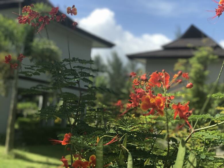 Hotel The Hip Resort @ Khao Lak