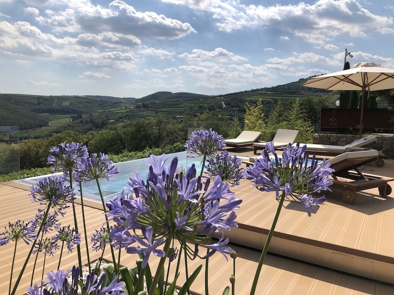 Agroturismo I Tamasotti