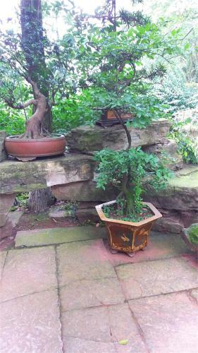 Hostal Longxinfang Garden Guest House
