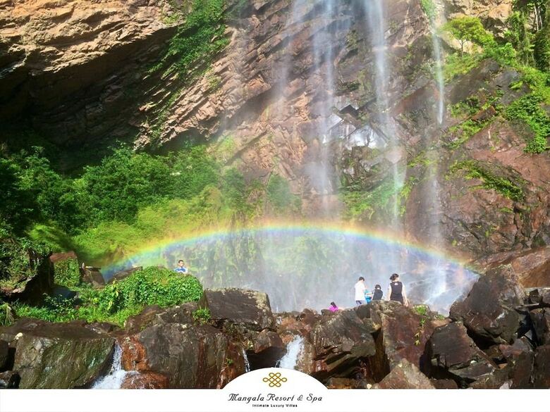 Hotel Mangala Resort & Spa