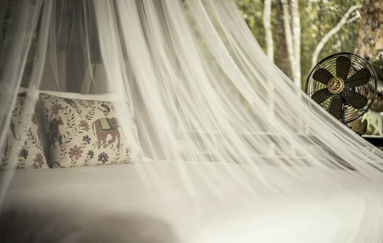 Hotel Four Seasons Tented Camp Golden Triangle - All Inclusive