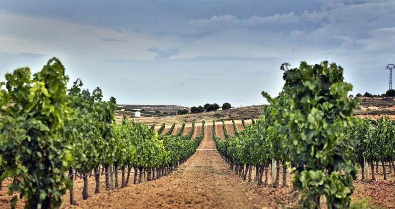 Residencia Hotel Tudanca Aranda II