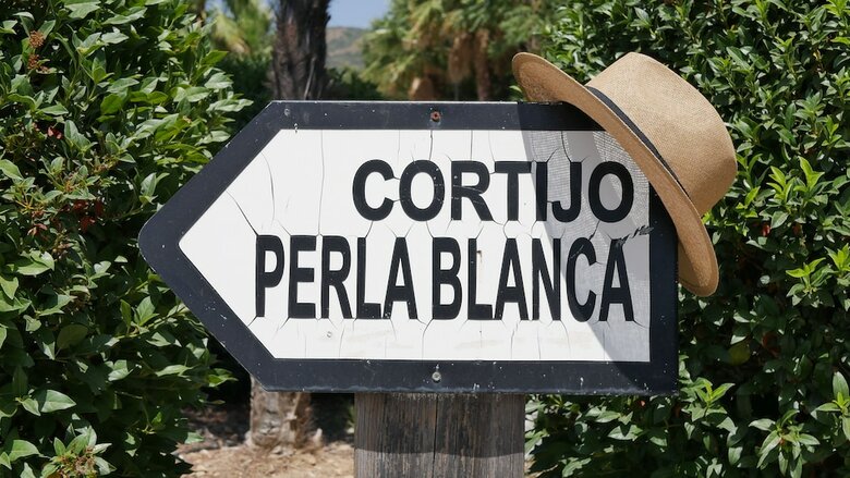 Hotel La Perla Blanca - Adults Only