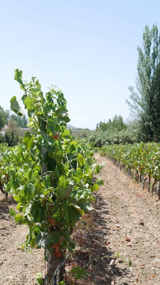 Hotel La Perla Blanca - Adults Only