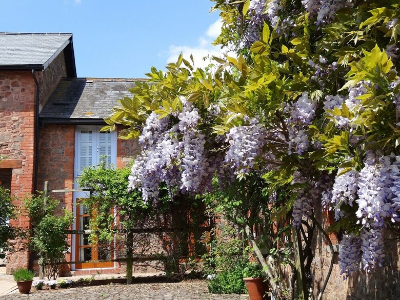 Bed & Breakfast The Old Dairy At Bishops Barton