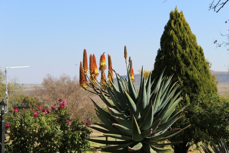 Agroturismo Imla Guest Farm