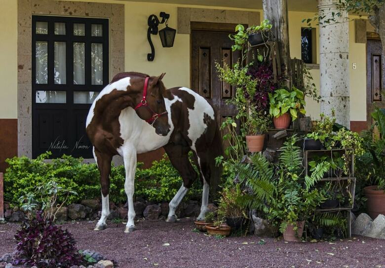 Agroturismo Chalet de Colombo Hotel