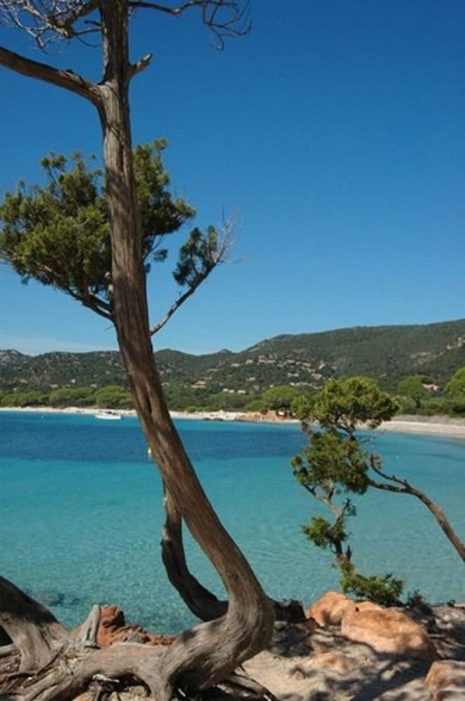 Apartamento Complesso Residenziale Marina Di Pinarello
