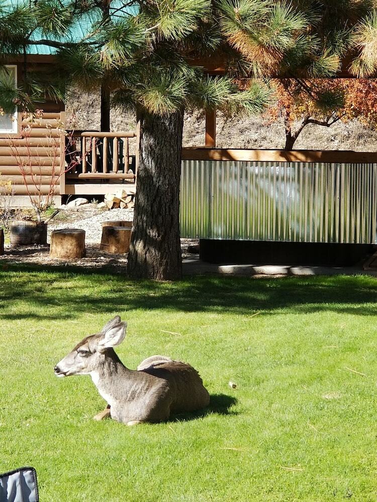 Motel Sourdough Lodge