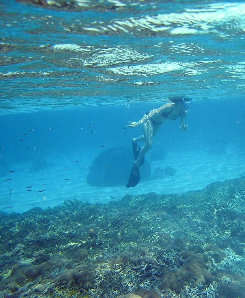 Hotel North Borneo Biostation Resort