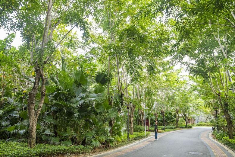 Apartamento Pearl River Nantian Hot Spring Resort