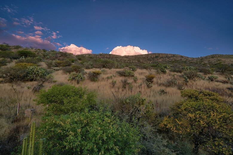 Hotel Sagrada Retreat