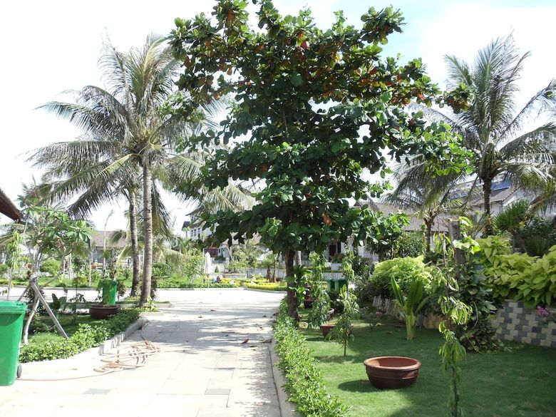 Hotel Sa Huynh Beach Resort