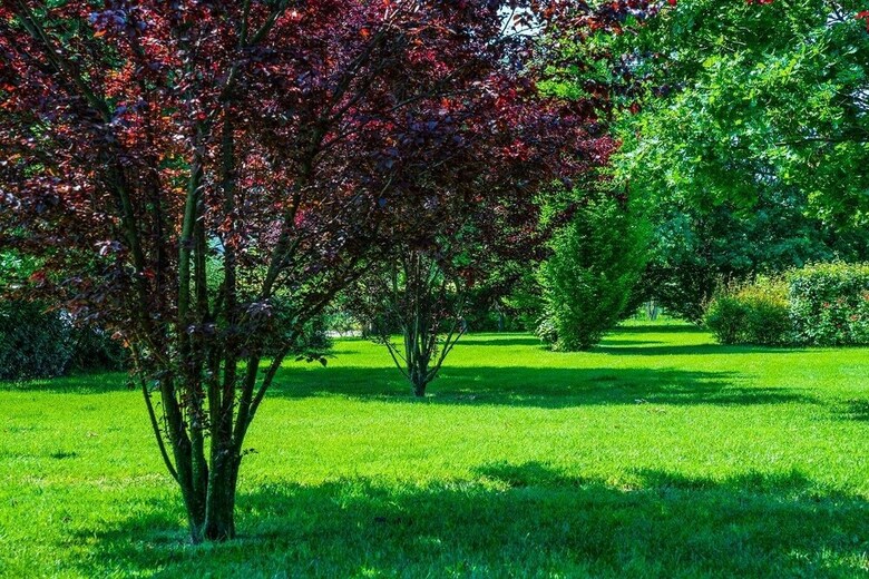 Agroturismo Agriturismo Il Brugnolo