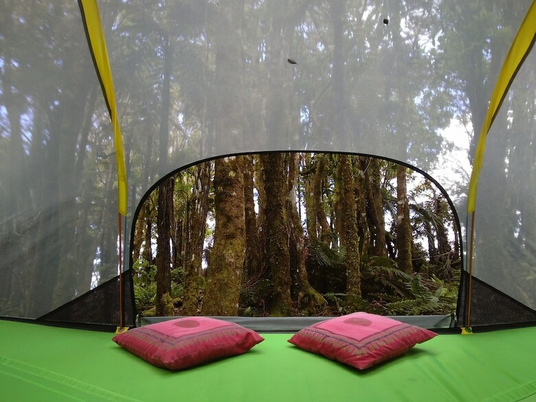Pupu Rangi Nature Sanctuary - Conservation Area