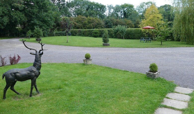 Bed & Breakfast The Willows Accommodation