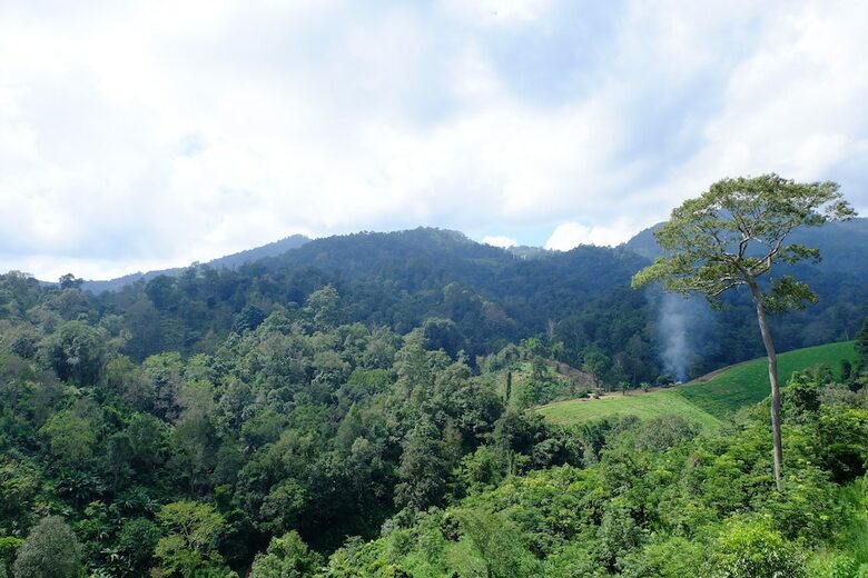 Hotel Mok Far Mont Ngo Resort