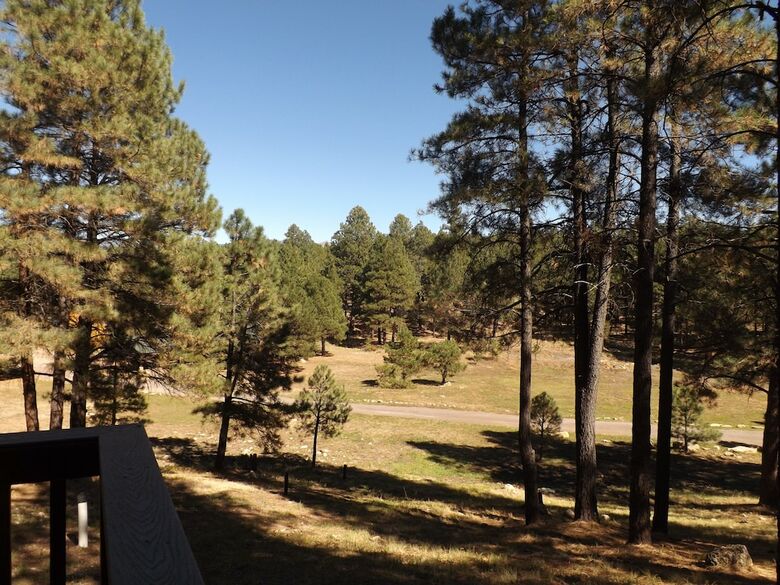 Arizona Mountain Inn And Cabins