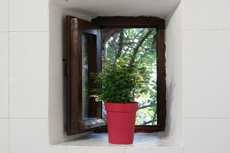 Apartamento Borgo Lizori