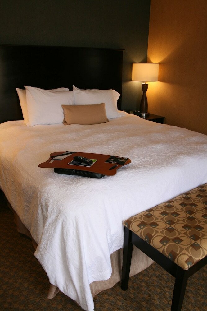 Hotel Hampton Inn & Suites Barstow