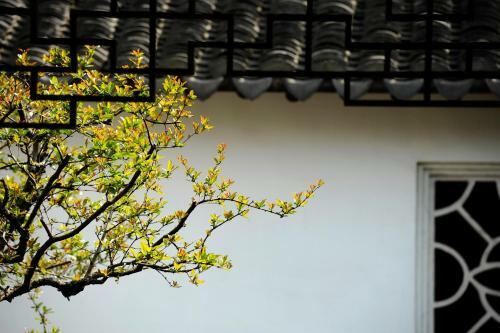 Tongli Lake View Hotel