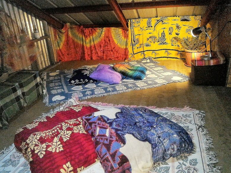 Hotel Tribuhaus Backpackers Inn
