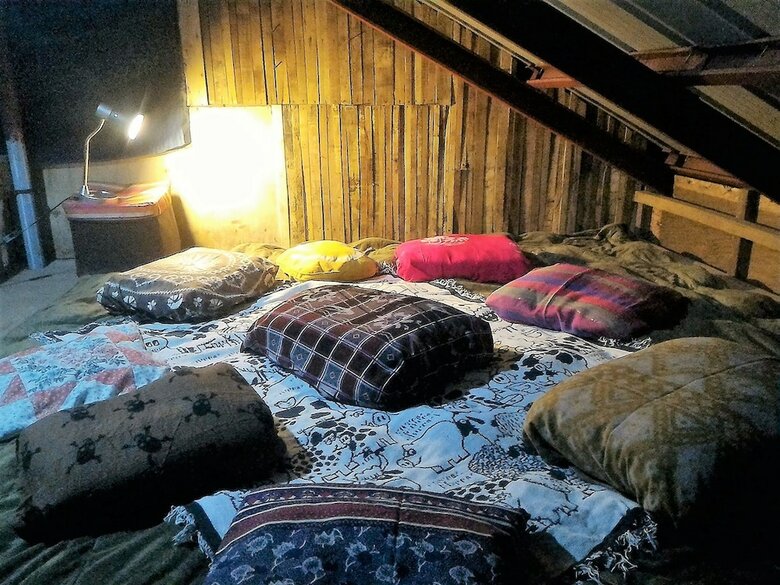 Hotel Tribuhaus Backpackers Inn