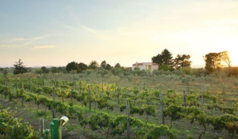 Agroturismo Agriturismo Il Marrugio