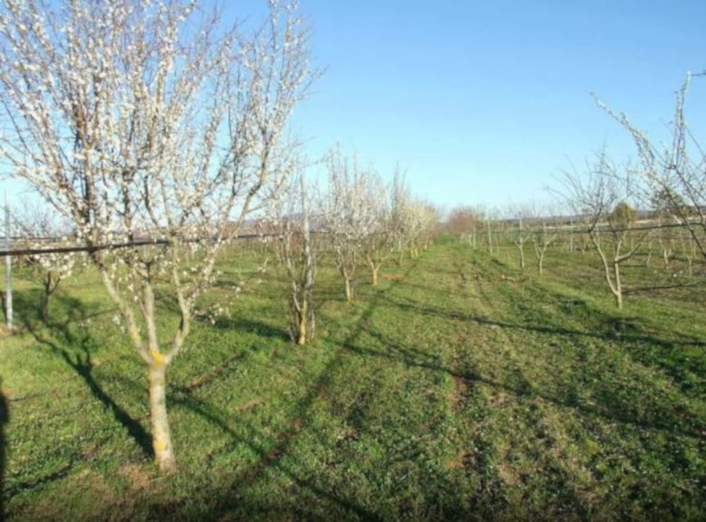 Agroturismo Agriturismo Il Marrugio