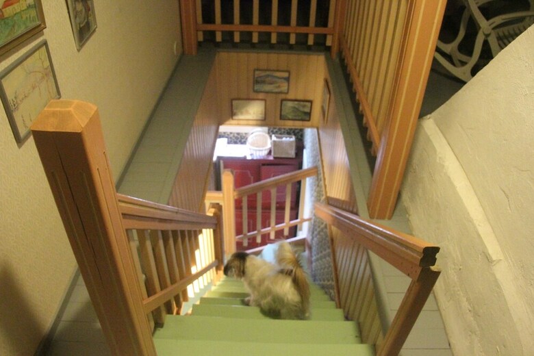 Posada Majatalo Veike� Vuohi