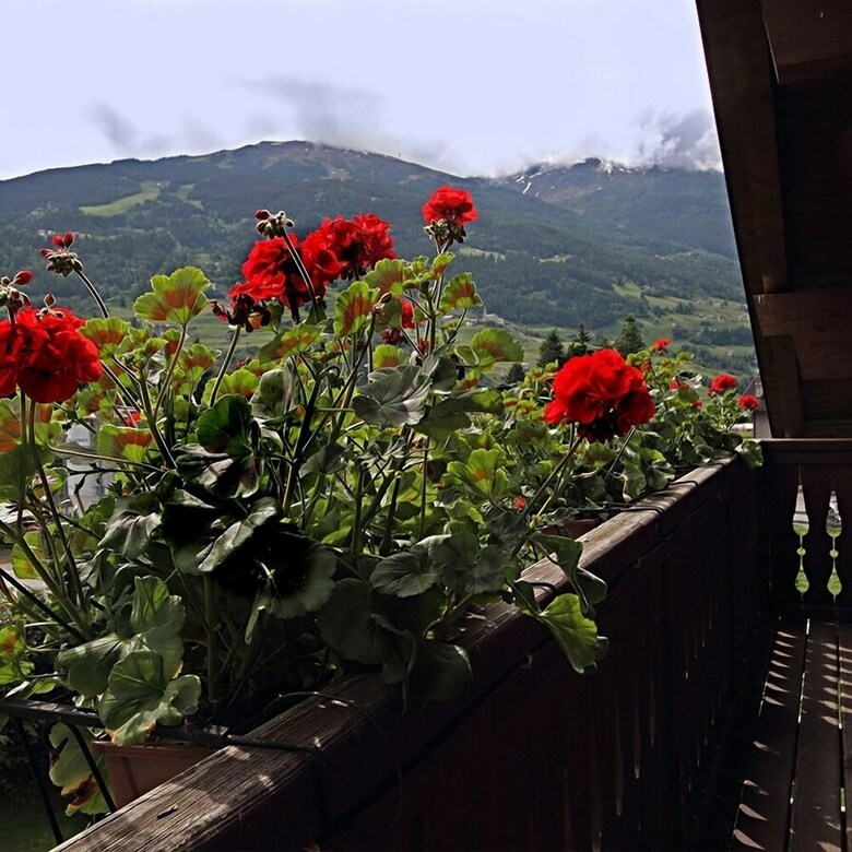 Apartamento Chalet Stelle Di Neve