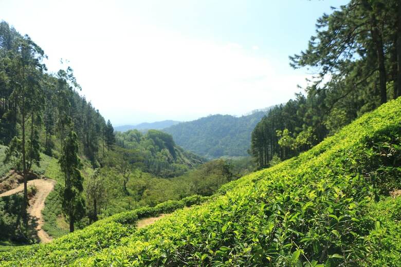 Welikande Hotel And Trekking Center